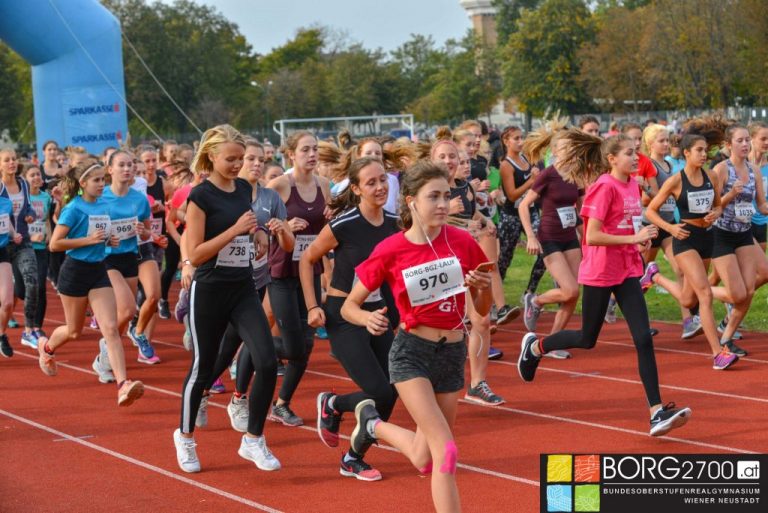 2018 BORG-Lauf
