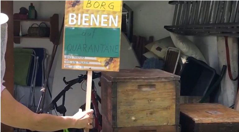 BORG_CoViD Distance Learning