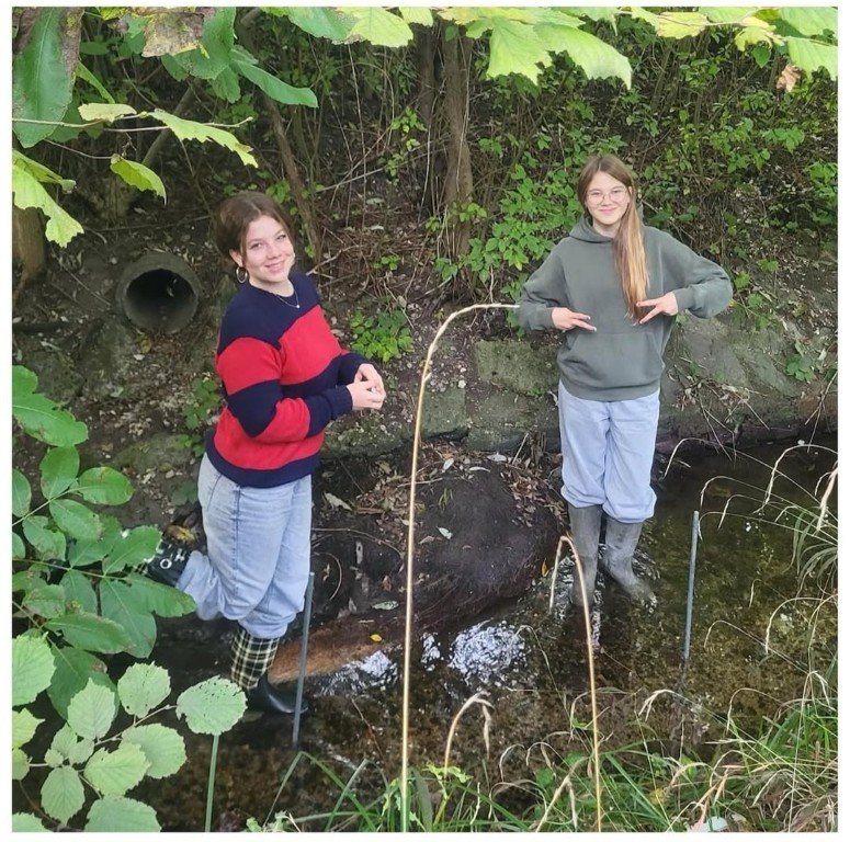 Screenshot_20251106_095442_Instagram (Mittel)